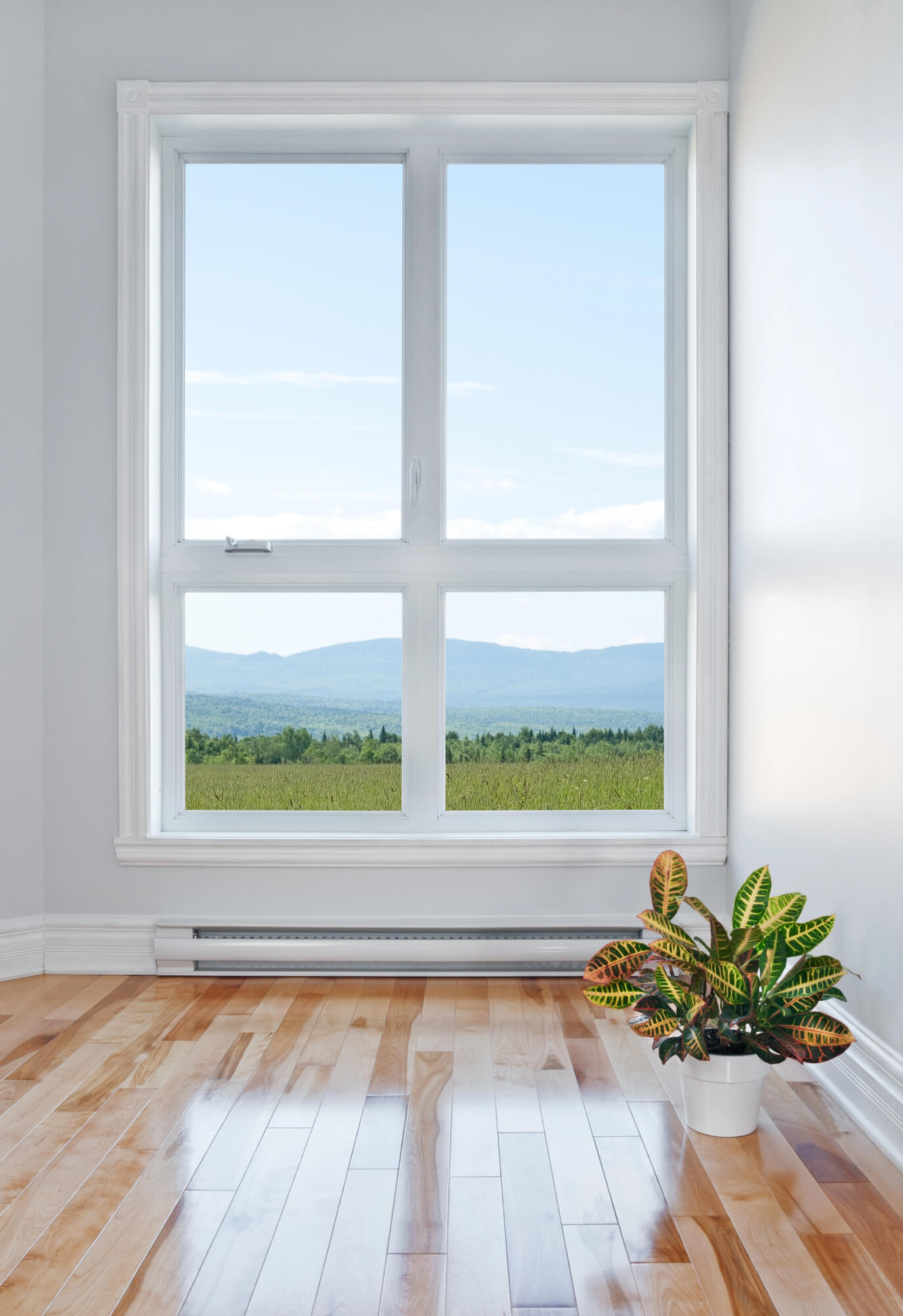 tall window